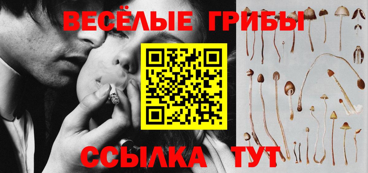 Псилоцибиновые грибы мицелий  Артём 